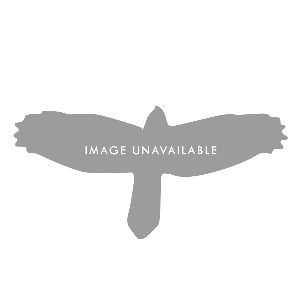 PRS Pint Glass, 12th Fret Bird (Each)