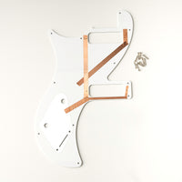 SE NF 53 Pickguard