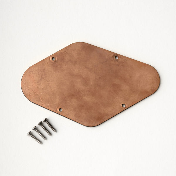 PRS Electronics Backplate, Irregular Parallelogram #5 (fits NF 53)