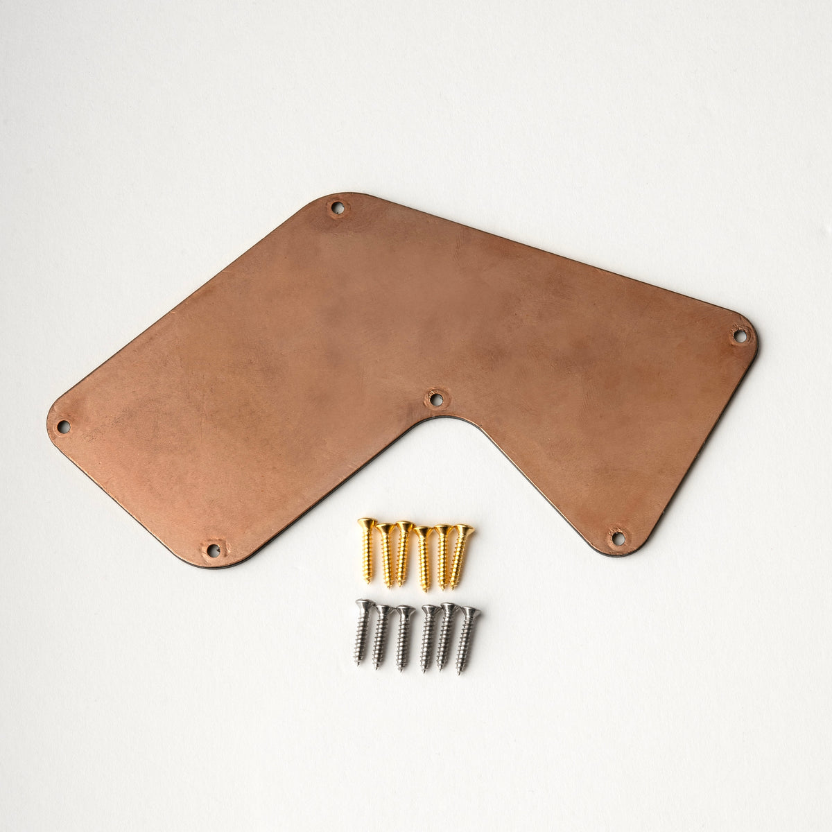 PRS Electronics Backplate, Polygon #1, Recess Mount (fits Modern Eagle V)