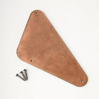 PRS Electronics Backplate, Triangle #3, Surface Mount (fits Fiore)