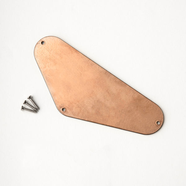 PRS Electronics Backplate, Triangle #4, Recess Mount (fits Myles Kennedy)