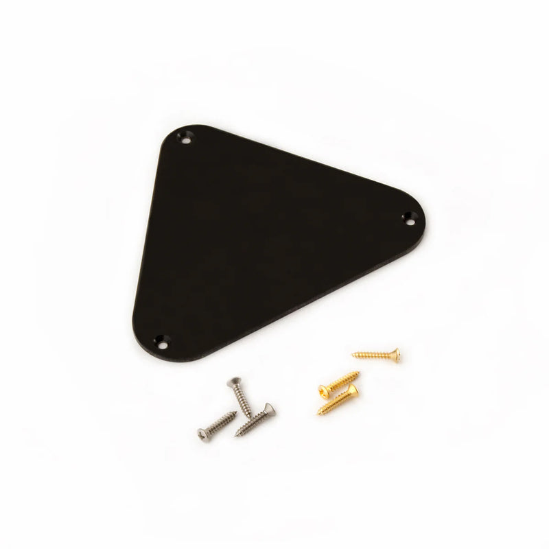 PRS Triangle Electronics Back Plate Surface Mount (SE Series) – PRS ...