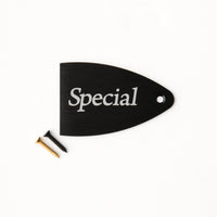 PRS Truss Rod Cover, Black Anodized Aluminum, Etched Model Name