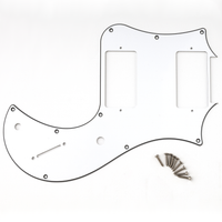 S2 Standard 24 Pickguard