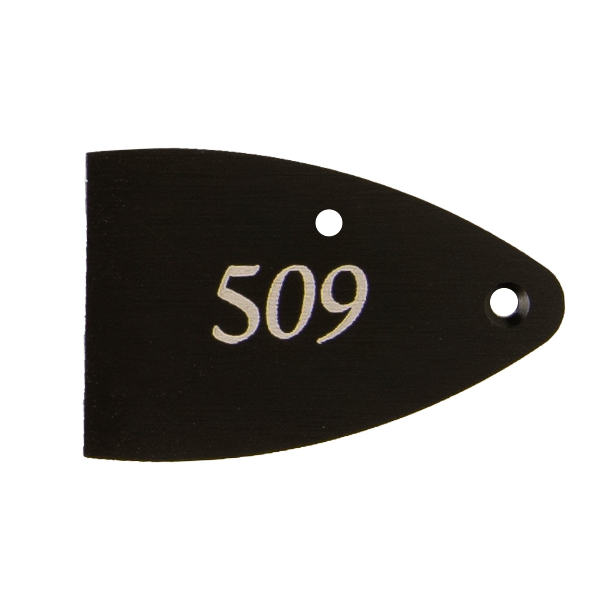 Core, Black Anodized Aluminum, Etched Truss Rod Cover – PRS
